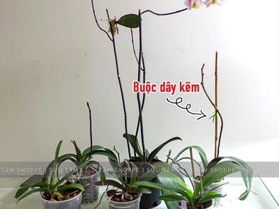 Cuộn dây kẽm màu bản dẹp dài 100m làm handmade PK-KEM-01